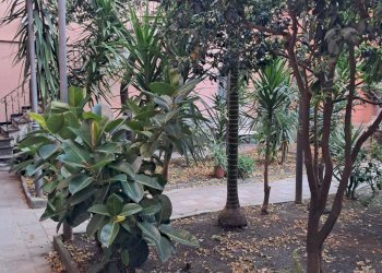 Foto 13 - Trilocale Corso Dante
 
66, Chiavari - foto 13