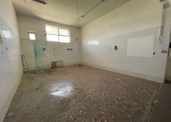 Foto 7 - Negozio Via Libertà
 
394, Maddaloni - foto 7