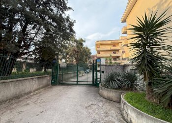 Foto 7 - Box Via Barducci
 
10, Caserta - foto 7