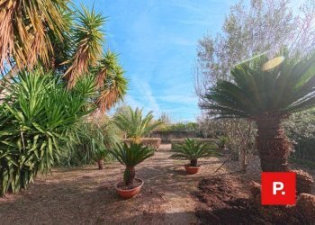 Foto 84 - Villa via Lener, Caserta - foto 84