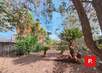 Foto 85 - Villa via Lener, Caserta - foto 85