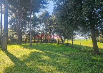 Foto 16 - Casa semi indipendente Grosseto - foto 16