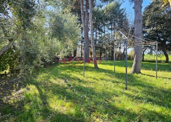 Foto 17 - Casa semi indipendente Grosseto - foto 17