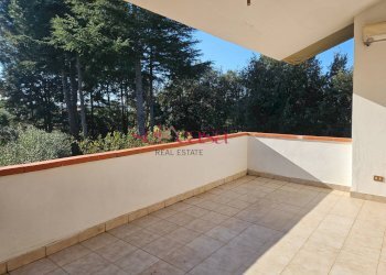 Foto 31 - Casa semi indipendente Grosseto - foto 31