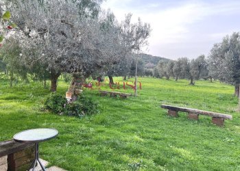 Foto 7 - Agriturismo Grosseto - photo 7