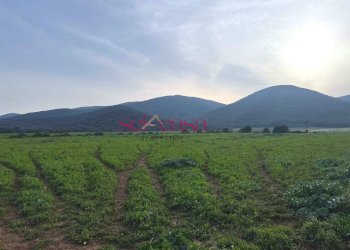 Foto 8 - Agriturismo Grosseto - photo 8