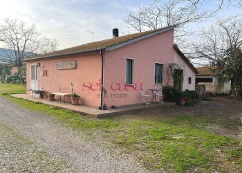 Foto 9 - Agriturismo Grosseto - photo 9