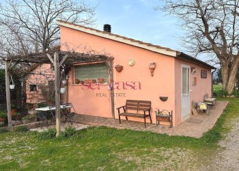 Foto 11 - Agriturismo Grosseto - photo 11