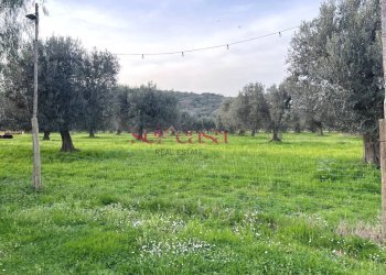 Foto 12 - Agriturismo Grosseto - photo 12