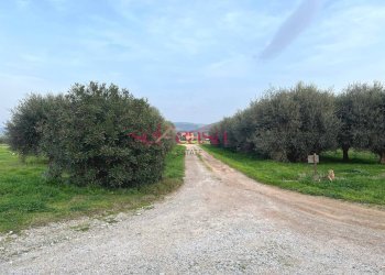 Foto 13 - Agriturismo Grosseto - photo 13