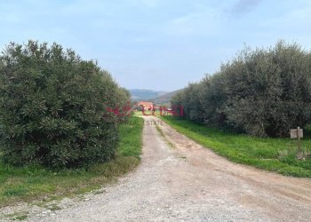 Foto 14 - Agriturismo Grosseto - photo 14