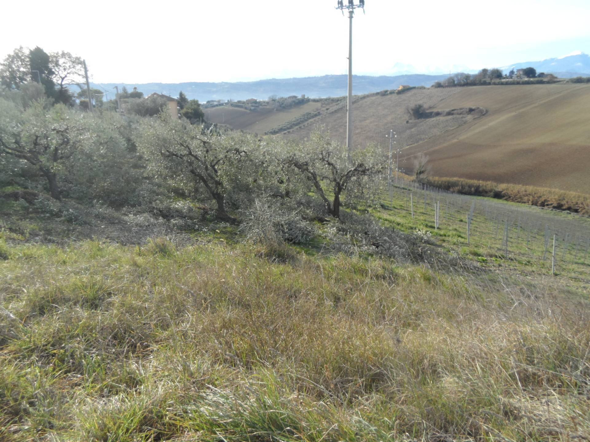 Foto 3 - Casa indipendente Contrada Monterone, Monteprandone - foto 3