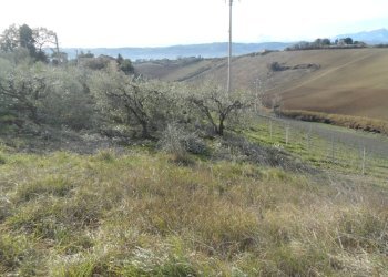 Foto 3 - Casa indipendente Contrada Monterone, Monteprandone - foto 3