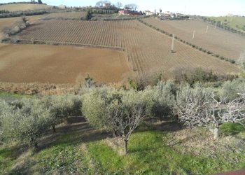 Foto 4 - Casa indipendente Contrada Monterone, Monteprandone - foto 4