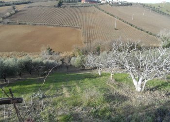 Foto 19 - Casa indipendente Contrada Monterone, Monteprandone - foto 19