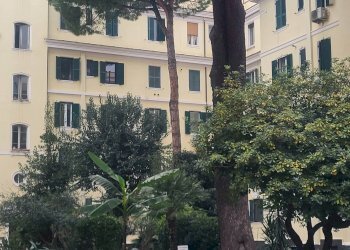 Foto 25 - Trilocale Via Galileo Ferraris
 
2, Roma - foto 25