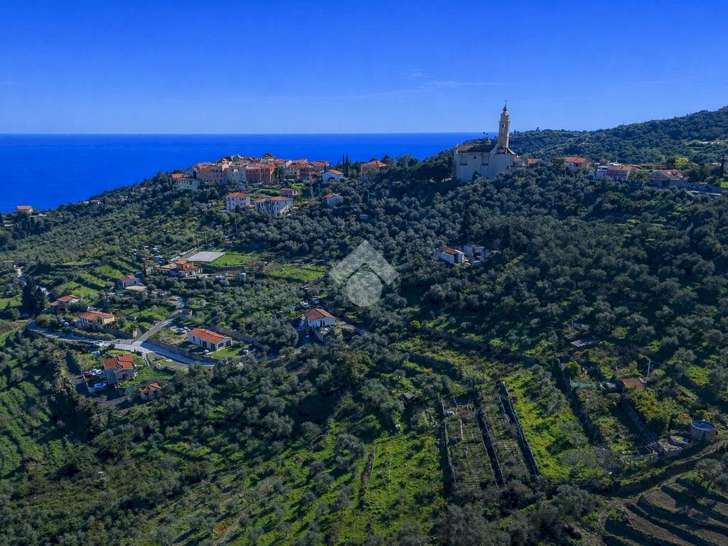 Terreno agricolo Via Strada, Imperia - foto 3