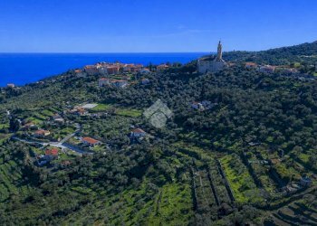 Terreno agricolo Via Strada, Imperia - foto 3
