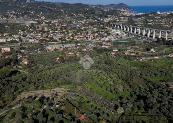 Terreno agricolo Via Strada, Imperia - foto 7