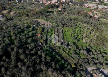 Terreno agricolo Via Strada, Imperia - foto 8