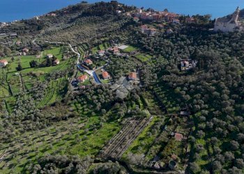 Terreno agricolo Via Strada, Imperia - foto 11