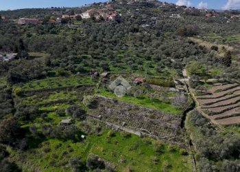 Terreno agricolo Via Strada, Imperia - foto 12
