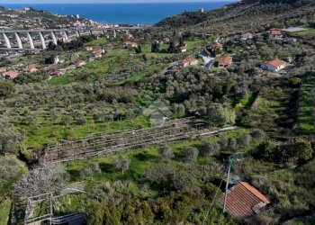 Terreno agricolo Via Strada, Imperia - foto 13