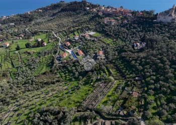 Terreno agricolo Via Strada, Imperia - foto 14