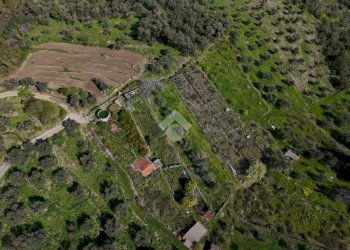 Terreno agricolo Via Strada, Imperia - foto 22