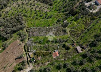 Terreno agricolo Via Strada, Imperia - foto 23