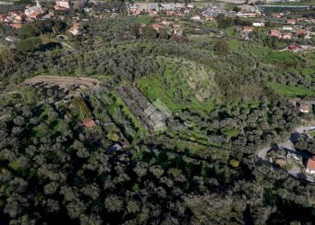 Terreno agricolo Via Strada, Imperia - foto 27