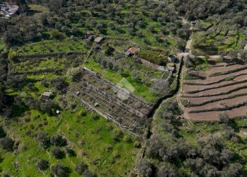 Terreno agricolo Via Strada, Imperia - foto 30