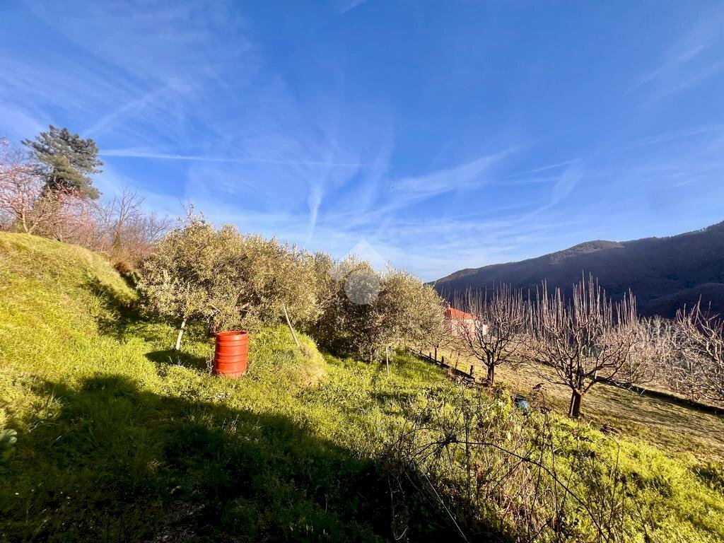 Terreno agricolo Via madonna della neve, Rialto - foto 3