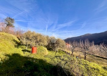 Terreno agricolo Via madonna della neve, Rialto - foto 3