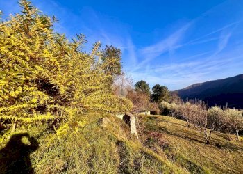 Terreno agricolo Via madonna della neve, Rialto - foto 4