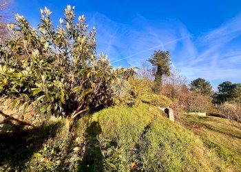Terreno agricolo Via madonna della neve, Rialto - foto 5