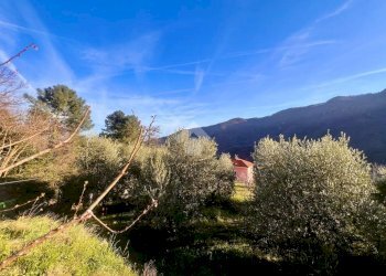 Terreno agricolo Via madonna della neve, Rialto - foto 6