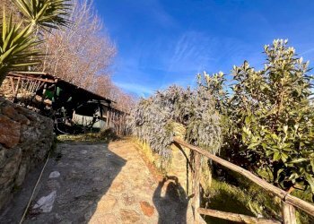 Terreno agricolo Via madonna della neve, Rialto - foto 7