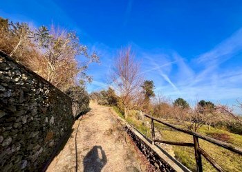 Terreno agricolo Via madonna della neve, Rialto - foto 8
