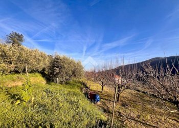 Terreno agricolo Via madonna della neve, Rialto - foto 11