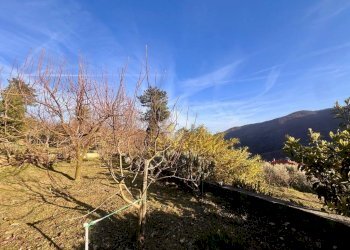 Terreno agricolo Via madonna della neve, Rialto - foto 14