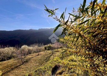 Terreno agricolo Via madonna della neve, Rialto - foto 16