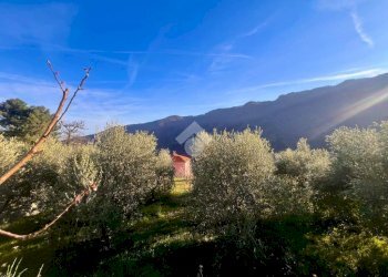 Terreno agricolo Via madonna della neve, Rialto - foto 17