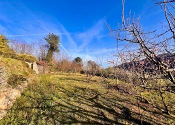 Terreno agricolo Via madonna della neve, Rialto - foto 18