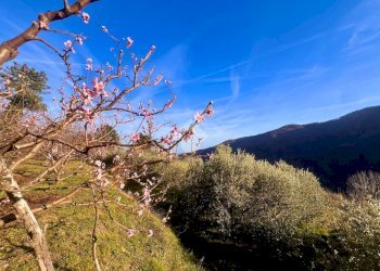 Terreno agricolo Via madonna della neve, Rialto - foto 19