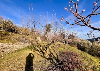 Terreno agricolo Via madonna della neve, Rialto - foto 20