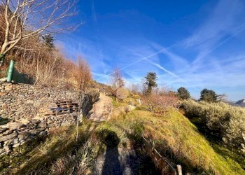 Terreno agricolo Via madonna della neve, Rialto - foto 22