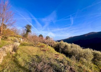 Terreno agricolo Via madonna della neve, Rialto - foto 24