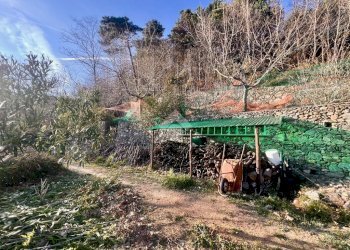 Terreno agricolo Via madonna della neve, Rialto - foto 25