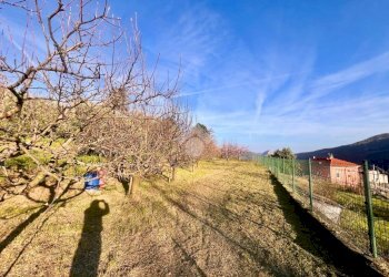 Terreno agricolo Via madonna della neve, Rialto - foto 26